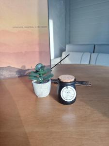 a candle and a potted plant on a table at Novidade-Cabana Praia do Rosa in Imbituba +9 photos