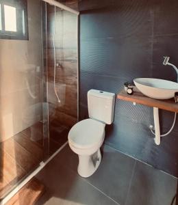 a bathroom with a toilet and a sink at Novidade-Cabana Praia do Rosa in Imbituba