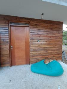 un cane sdraiato su un cuscino blu davanti a un edificio di Cabaña BellaVista a Oxapampa