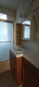 eine Küche mit einem Waschbecken und einem Fenster darin in der Unterkunft Historic Reno Home in Reno + 14 Fotos