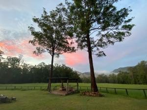 ein Picknicktisch und ein Baum auf dem Feld in der Unterkunft Soulhaven at Bentley in Bentley