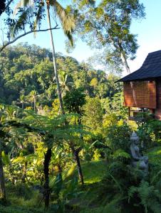 Příroda nedaleko ubytování v soukromí