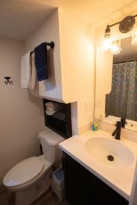 a bathroom with a sink and a toilet and a mirror at Tiny Blue at Yosemite Gateway in Groveland