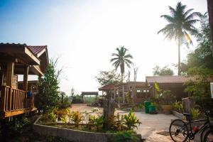 a group of houses with palm trees in the background at Chi Phat River lodge in Chi Phat