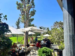 En have udenfor Mộc Thạch Homestay Gia Lai + 31 billeder