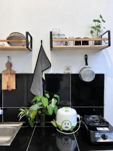 una cucina con bancone, tostapane e piante di SleepOver BDI2 a Wonosobo