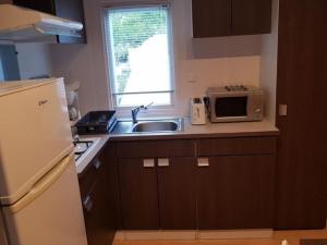 Køkken eller tekøkken på Mobil home - Terrasse à Bieuzy - API-1-52-1304 + 6 billeder