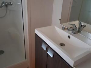 Et badeværelse på Mobil home - Terrasse à Bieuzy - API-1-52-1304