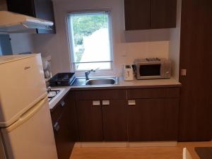 Køkken eller tekøkken på Mobil home - Terrasse à Bieuzy - API-1-52-1304