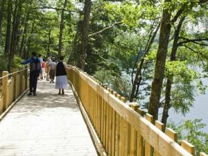 Naturlandskabet i nærheden af campingpladsen + 7 billeder