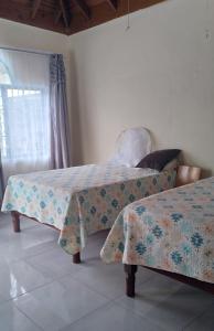a bedroom with two beds and a window at Jamaica Beach in Tower Isle