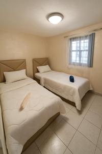 two beds in a room with a window at Entire Guesthouse with Private Rooftop in Taghazout