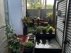 O grădină în afara A&J Rest House