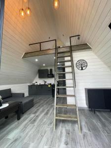 a ladder in a room with a living room at Серце Карпат in Skole