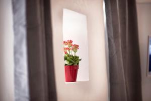 une plante dans un pot rouge sur un mur dans l'établissement Bianca Dimora, à Cagliari