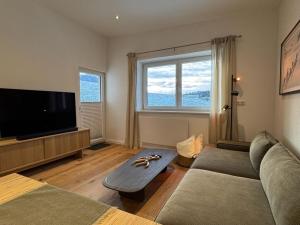 TV a/nebo společenská místnost v ubytování Lucy s Studio Apartment Kössen