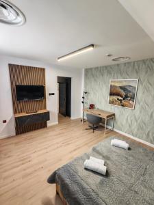 una stanza con un letto, una scrivania e una televisione di 44roomsMarghita a Marghita