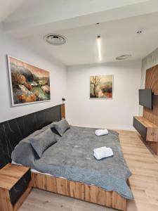 una camera da letto con un letto grande in una stanza di 44roomsMarghita a Marghita