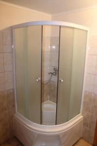 a glass shower in a bathroom with a toilet at Latvijas Sarkanā Krusta viesnīca in Rēzekne