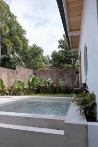 Swimmingpoolen hos eller tæt på Kiki Studios