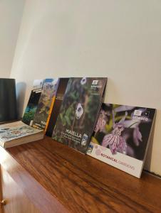 un gruppo di libri seduti sopra un tavolo di Casa Viola della Maiella a Pennapiedimonte