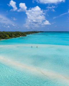 Phong cảnh thiên nhiên gần nhà khách