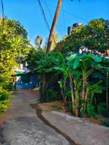 ein Haus mit vielen Bäumen neben einer Straße in der Unterkunft Baga Ocean Way in Baga