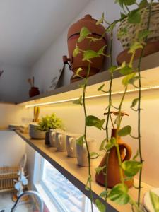 Køkken eller tekøkken på Casa Vista Mar - Praia do Frances