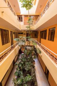 un couloir dans un bâtiment avec une usine dans l'établissement Hotel Galaxia, à Huaraz