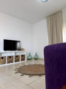 TV a/nebo společenská místnost v ubytování Jimaguas