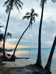 un groupe de palmiers sur une plage dans l'établissement Lorna's Home, à Bil-isan