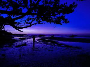 a person standing on a beach at dusk at Lorna's Home in Panglao Island +3 photos