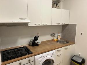 Nhà bếp/bếp nhỏ tại Private Riverside Apartment Brno