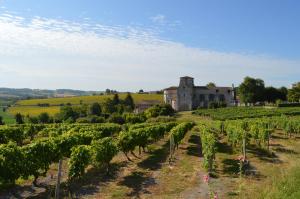 an old building in the middle of a vineyard at La Vieille Distillerie in Le Tâtre