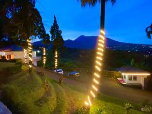 eine Lichterkette, die nachts von einer Palme hängt in der Unterkunft New Villa Privat Pool 5 Kamr in Sampal 2