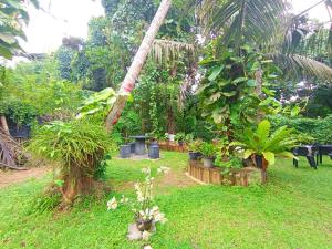 Zahrada ubytování Abhilashi Guest house