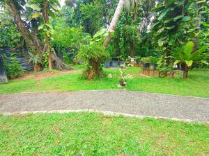 Zahrada ubytování Abhilashi Guest house