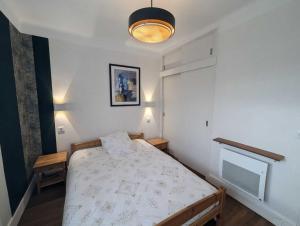 een kleine slaapkamer met een bed en een open haard bij Villa jeandor in Braucourt