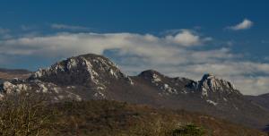een berg bedekt met sneeuw met bomen ervoor bij Vila Gaspar in Dražice