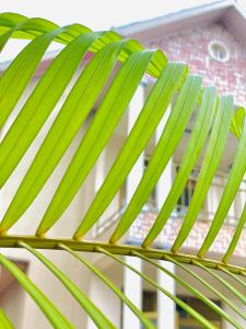 Ảnh trong thư viện ảnh của KIGALI LIGHT HOMEs ở Kigali