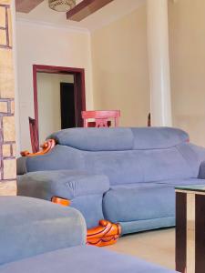 een groep blauwe banken in een woonkamer bij Kingston apartment in Kigali
