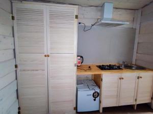 a kitchen with a counter and a sink and a door at Cozy Rest House in Verkhovyna