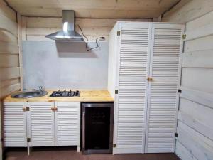 a kitchen with a stove and a sink at Cozy Rest House in Verkhovyna