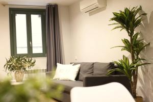 un salon avec un canapé gris et deux plantes dans l'établissement Bravissimo Força 17, Barri Vell apartments, à Gérone