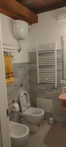 een badkamer met toilet en wastafel bij Locanda delle fonti in Bassano in Teverina