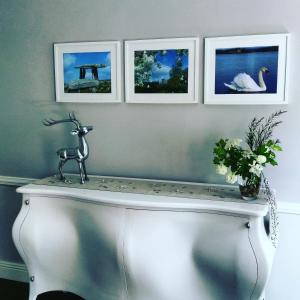 Fotografie z fotogalerie ubytování Balally House v destinaci Shannon