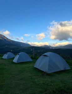 drie tenten in een veld met bergen op de achtergrond bij Misty Colina in Kottakamboor +26 foto's