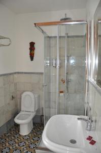 a bathroom with a shower and a toilet and a sink at Casa de las Remigias in Estepona