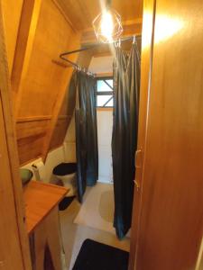 La salle de bains est pourvue d'un rideau de douche. dans l'établissement Chalé na Serra Campo Alegre, à Campo Alegre