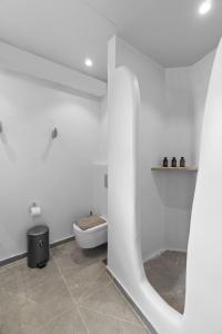 ein weißes Bad mit WC im Zimmer in der Unterkunft Seahorse Villa in Makrotándalon